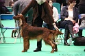 Crufts2011 301